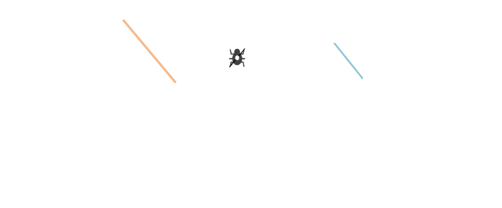 BDS02