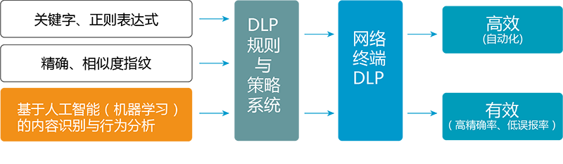 LANDING_dlp-01